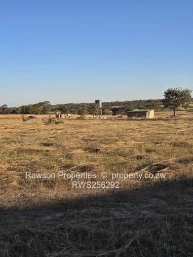 Marondera Meadow Springs Stands for Sale