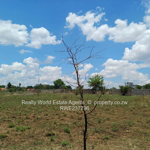 Bulawayo Lobenvale Suburb