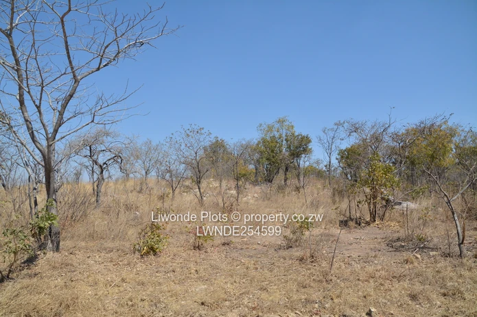 1ha Goromonzi Farm — Arable Field by Gravel Main Road