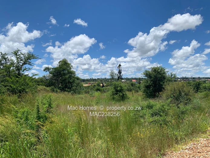 Rusape Land For Sale (Sole Mandate)