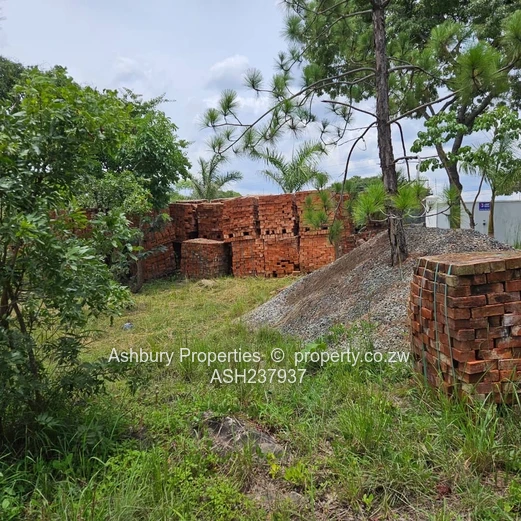 A rare to find stand at the Heart of Glen Lorne on Folyjon Crescent.
