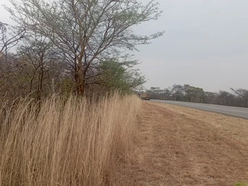 Farm & Agricultural Land