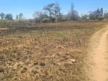 Farm & Agricultural Land