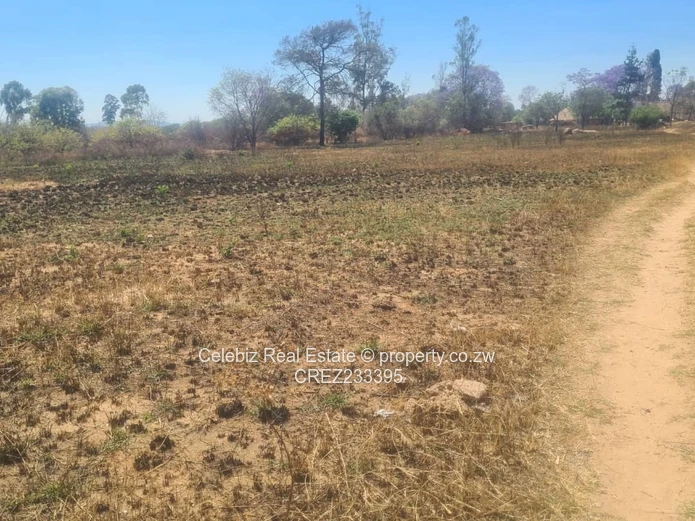 Norton plot for sale 