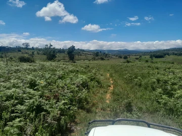 Farm & Agricultural Land