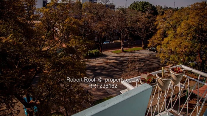 1 bed furnished apartment in Avenues