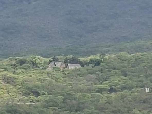 Farm & Agricultural Land