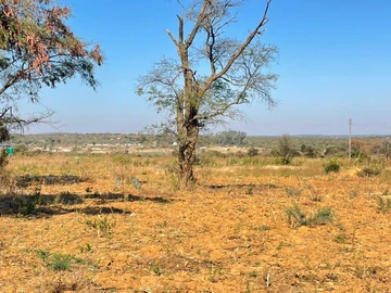 Farm & Agricultural Land