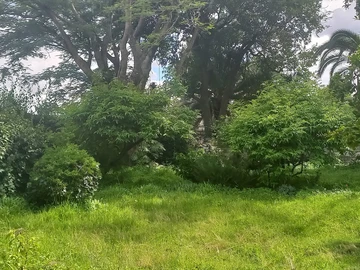 4 Bedroom Townhouse Complex