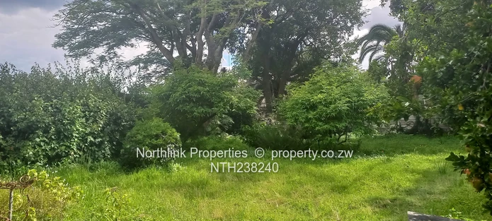 Investment Opportunity in Newlands (Sole Mandate)