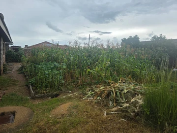 Land