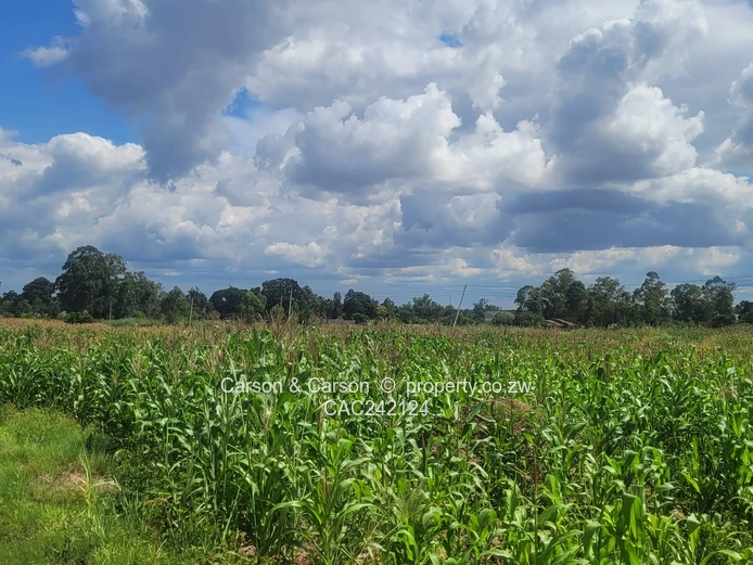 Prime, well established and mature suburb of Chadcombe with massive invetment potential