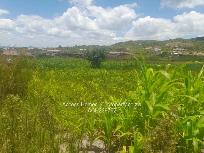 Crowhill Views  (Sole Mandate)