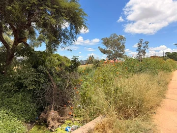 Stands & Residential Land