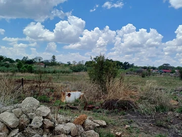 Stands & Residential Land