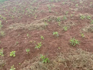 Farm & Agricultural Land