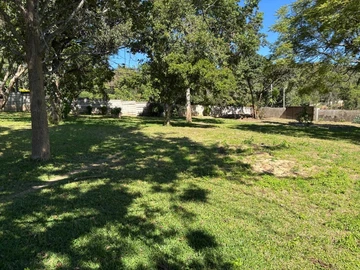 Land with established trees