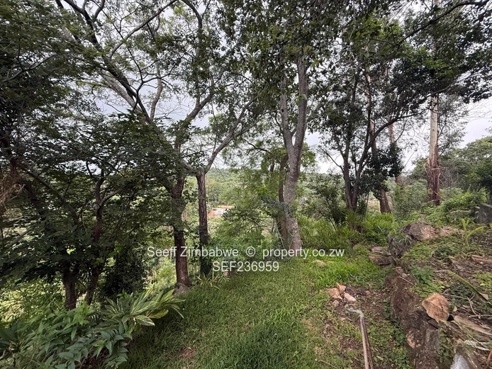 Prime Glen Lorne Real Estate: Solid 4-Bed Home on Over 1.7 Acres