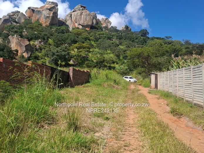 Perfect For  First Time Owners!!!