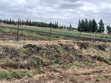 Farm & Agricultural Land