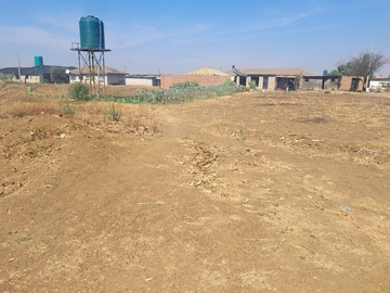 Stands & Residential Land