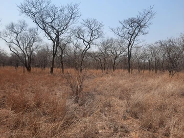 Farm & Agricultural Land