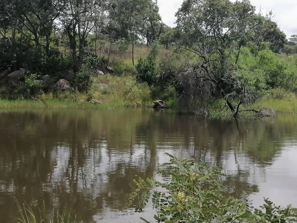 Farm & Agricultural Land