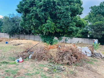 Stands & Residential Land