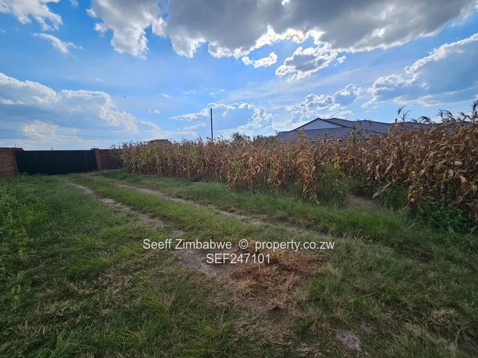 Zimre Park: 3-Bed Cottage Home on 2000m²