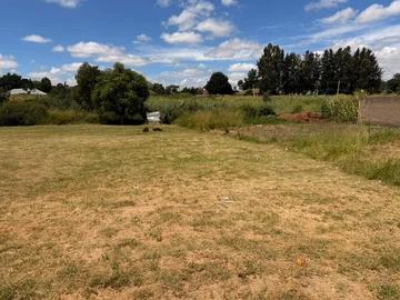 Stands & Residential Land