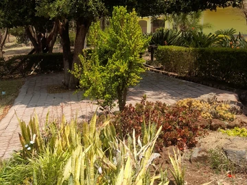 3 Bedroom Flat & Apartment