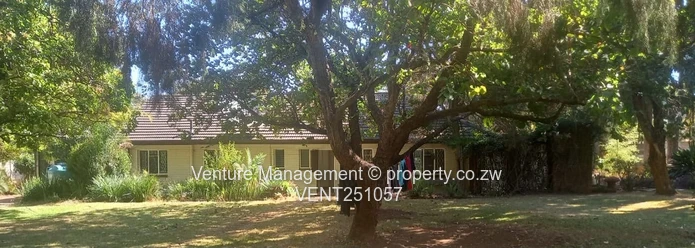 House to Let – Alex Park