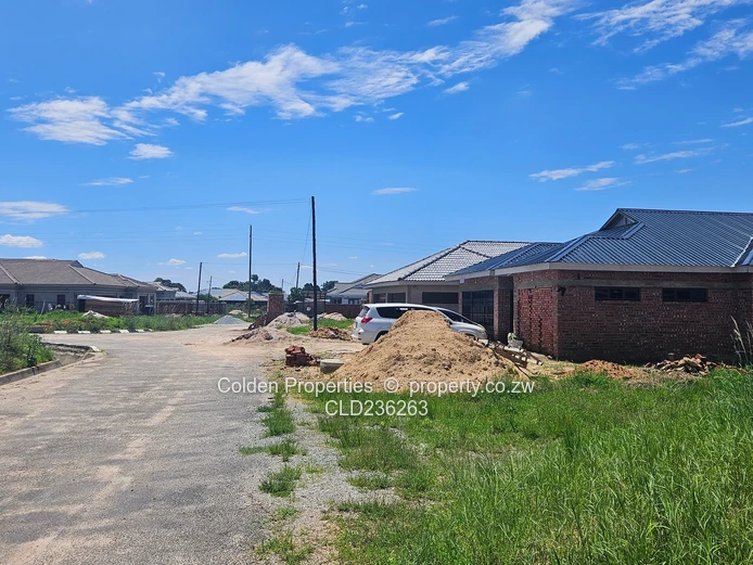 Perfect Opportunity! (Sole Mandate)