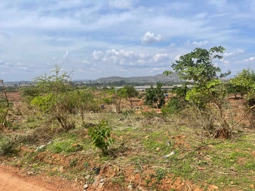 Commercial & Industrial Land