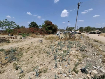 Commercial & Industrial Land