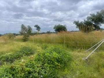 Farm & Agricultural Land