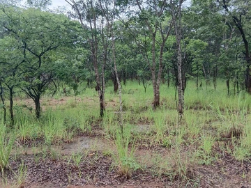 Farm & Agricultural Land