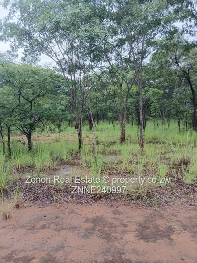 Ngezi plots Along Battlefields road for sale (Sole Mandate)