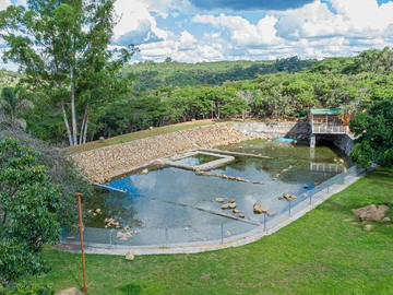 Farm & Agricultural Land