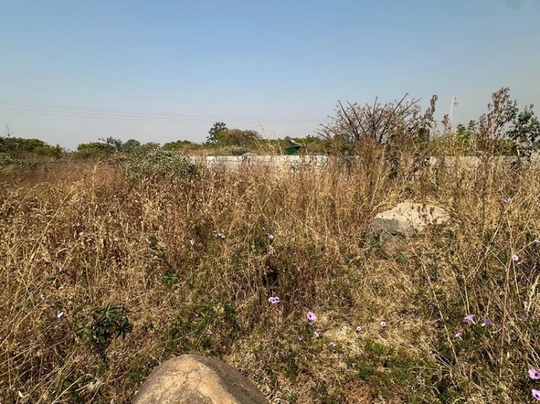 Commercial & Industrial Land