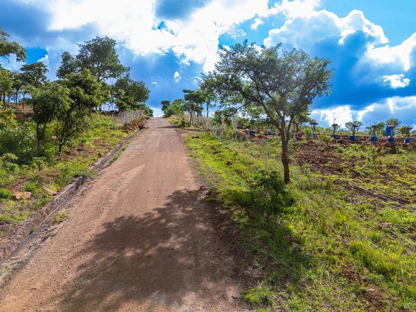 Farm & Agricultural Land