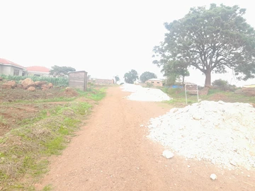 Stands & Residential Land