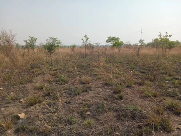 Farm & Agricultural Land