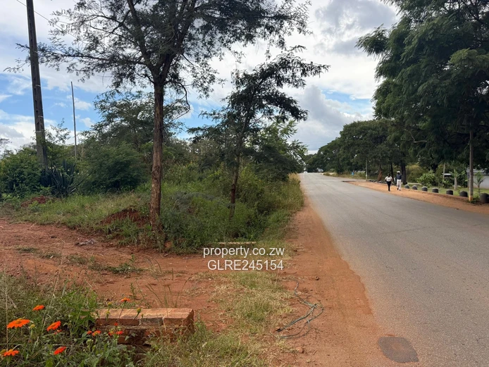 1500 sqm Quinnington Stand — Tarred Road, Sewered & Subdivision-Ready