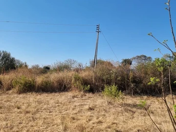 Stands & Residential Land