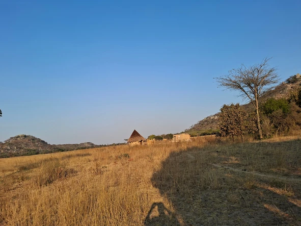 Farm & Agricultural Land