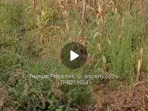 1000m2  Stand at Crowhill Views, Harare N – Gravel Road Access