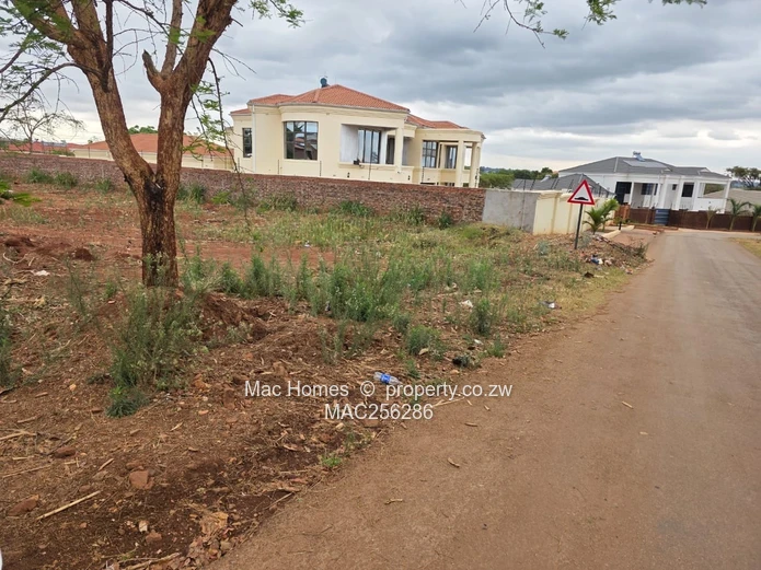 Ready to Build Stand for Sale