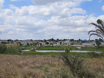 Farm & Agricultural Land