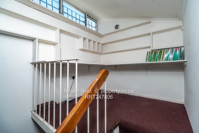 3 bed flat in Avenues